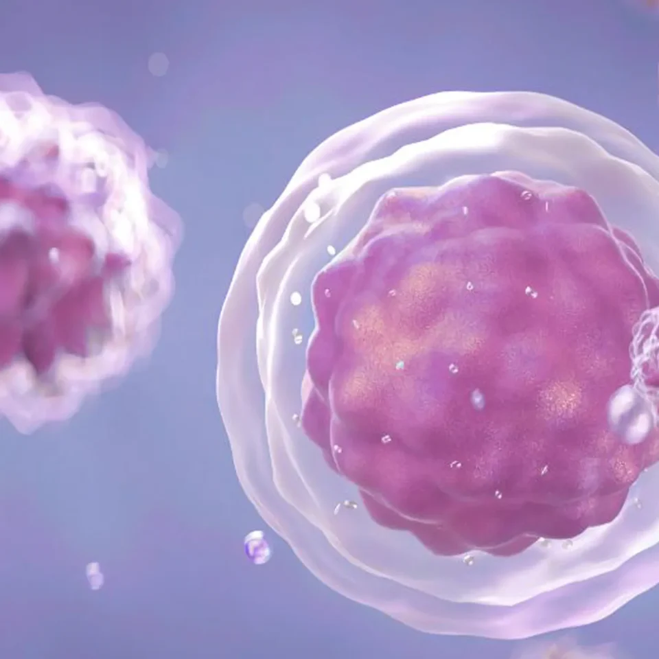 vigenius_dna_aplicaciones_07